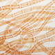 Red algae, which looked really similar to Bangiomorpha (Image: Kelvinsong/Wikimedia Commons)